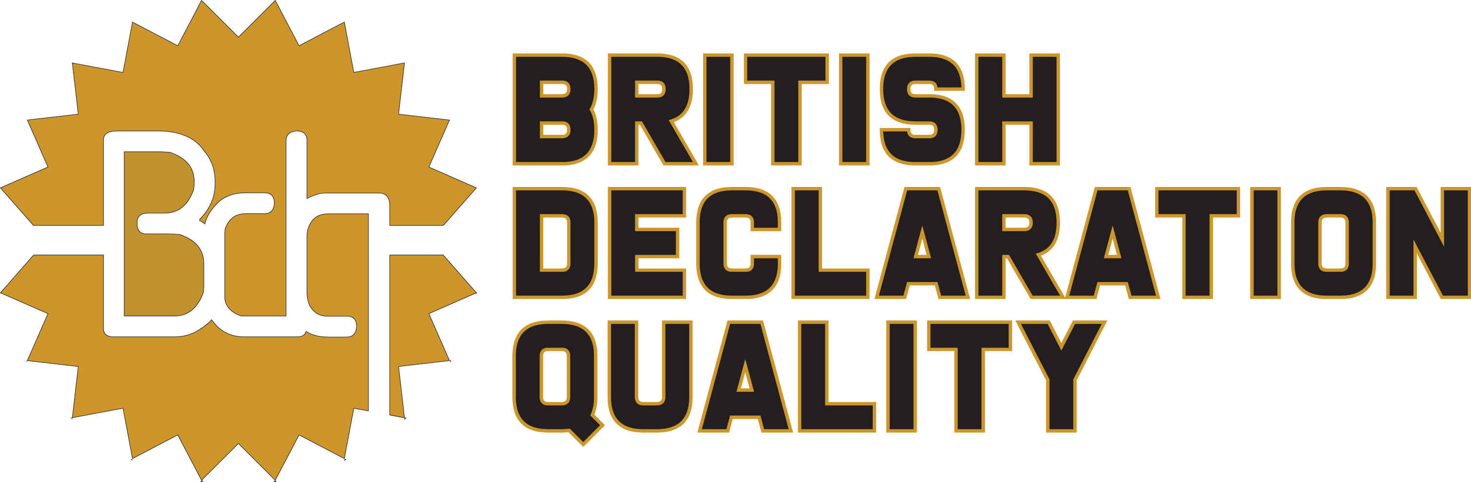 BDQCERT SANAL ASİSTAN